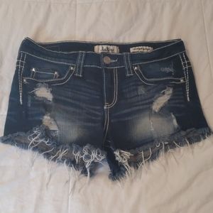 Daytrip Capricorn High Rise Distressed Shorts